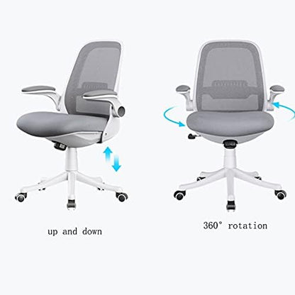 Chair Computer Chair Home Desk Chair Student Learning to Write Backrest Swivel Chair Office Lift Chair Ergonomics Chairs (Color : Gray) (Black)