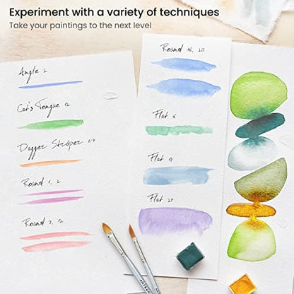 ARTEZA Watercolor Brushes, Set of 12, Synthetic Hair, Assorted Shapes