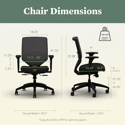 HON Solve Ergonomic Office Chair, Lumbar Support, Desk Chair, Peacock