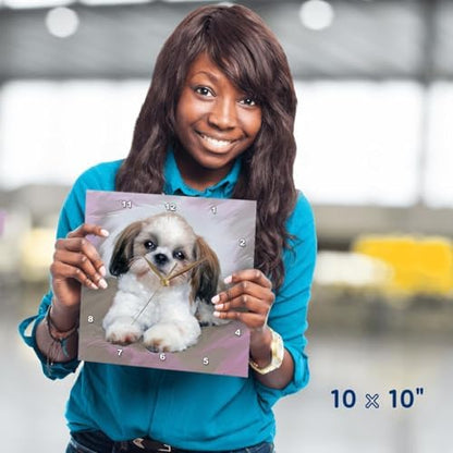 3drose Shih Tzu Puppy Wall Clock, 10 by 10-Inch