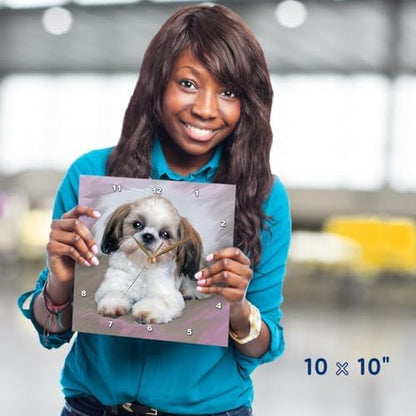 3drose Shih Tzu Puppy Wall Clock, 10 by 10-Inch