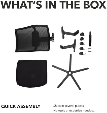 HON Ignition 2.0 Ergonomic Office Chair, Lumbar Support, Bullseye