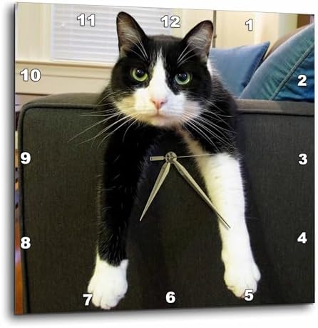 3dRose LLC Wall Clock Silent - 10 inch - Black and White Cat with Nothing to Do - Animals