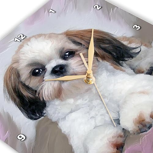 3drose Shih Tzu Puppy Wall Clock, 10 by 10-Inch