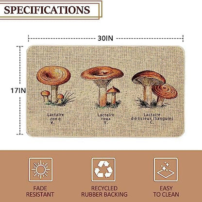 Mloabuc Kitchen Rugs and Mats,Washable Non-Slip Floor Mats Door Mat