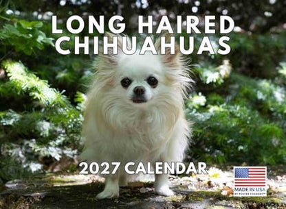 Long Haired Chihuahua Calendar 2027 Monthly Wall Calender 12 Month