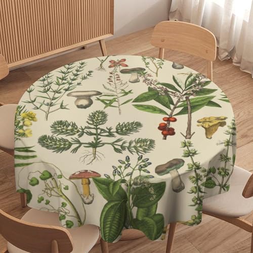 Vintage Botanical Tablecloth, Antique 1900s Mushroom Boho Wildflower Green Herbs Ferns Farmhouse Table Cover for Party Picnic Dinner Decor, 60x60in