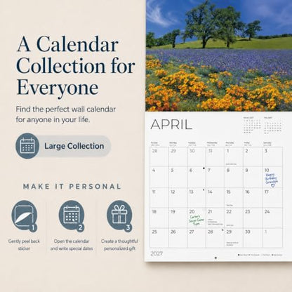 Shih Tzus 2027 Wall Calendar, 12 x 24 Hanging Pacific Waters Press