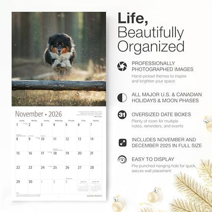 RED EMBER Australian Shepherds Aussies 2026 Wall Calendar 12 Month | 12" x 24" Open | Thick & Sturdy Paper | Giftable | Cute Puppy Dog Calendar 2026