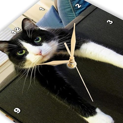 3dRose LLC Wall Clock Silent - 10 inch - Black and White Cat with Nothing to Do - Animals
