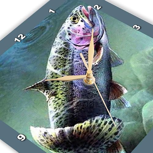 3dRose Wall Clock Silent - 13 inch - Rainbow Trout - Fishing