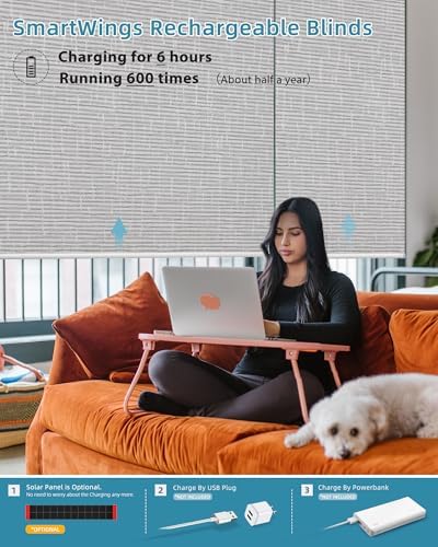 SmartWings Motorized Smart Roller Shades, 100% Blackout Safari Smoke