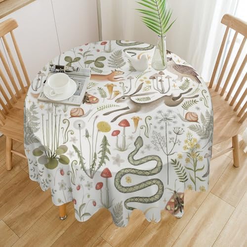 Country Forest Tablecloth, Wild Animal Hare Squirrel Owl Snake Snail Flowers Mushroom Table Cover for Tea Party Weddings Indoor Outdoor Dining, 36x36in