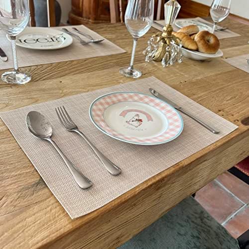 WAZAIGUR Placemats Crisscross Woven Vinyl Place Mats Set of 4 Beige