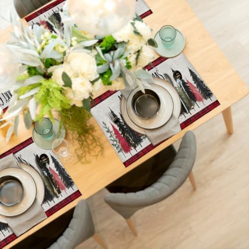 Placemats Set of 6 Washable Linen Place Mats Cloth Table Mats 12x18 Inch