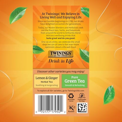 Twinings Orange & Cinnamon Spice Herbal Tea Individually Wrapped Bags, 20 Count (Pack of 1), Naturally Caffeine-Free, Enjoy Hot or Iced, 20 Teabags
