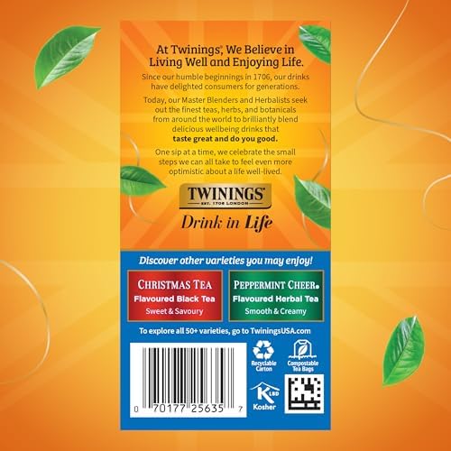 Twinings Winter Spice Herbal Tea Individually Wrapped, 20 Count (Pack of 1), Camomile, Apple, Cinnamon, & Clove, Naturally Caffeine-Free, Enjoy Hot or Iced, 20 Teabags
