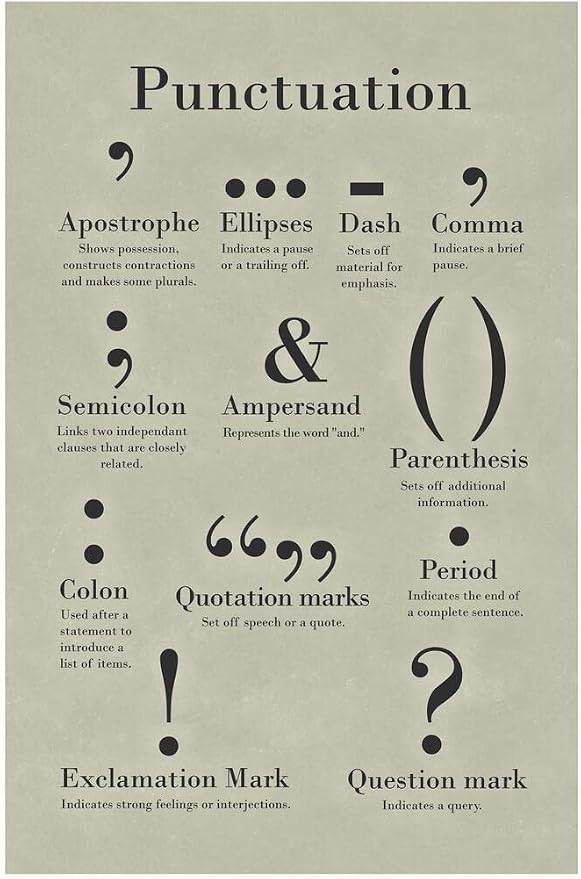 Laminated Punctuation Poster Grammar Writing English Classroom Posters Depth Knowledge Literary Terms Library Class Decorations High School Teacher Home Chart Dry Erase Wall Art 12x18