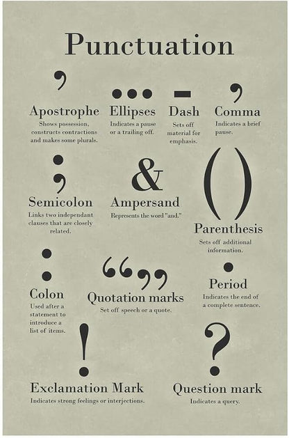 Laminated Punctuation Poster Grammar Writing English Classroom Posters Depth Knowledge Literary Terms Library Class Decorations High School Teacher Home Chart Dry Erase Wall Art 12x18