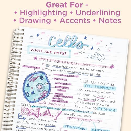 Zebra Pen MILDLINER No Bleed Highlighter, Assorted Mild, Dual Tip, 6-Pack