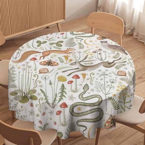Country Forest Tablecloth, Wild Animal Hare Squirrel Owl Snake Snail Flowers Mushroom Table Cover for Tea Party Weddings Indoor Outdoor Dining, 50x50in