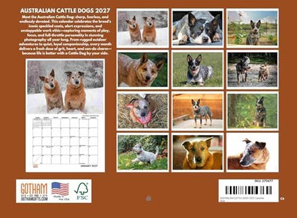 Australian Cattle Dog Calendar 2027 Monthly Wall Calender 12 Month