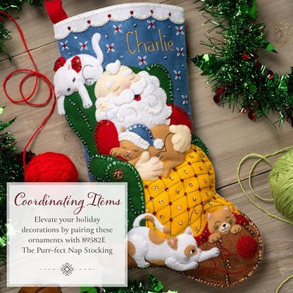 Bucilla Felt Applique 6 Piece Ornament Making Kit, Paws & Whiskers, Perfect for Holiday DIY Arts and Crafts, 89701E