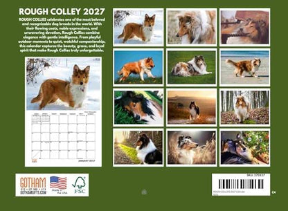 Rough Collie Calendar 2027 Monthly Wall Calender