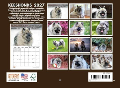 Keeshond Calendar 2027 Monthly Wall Calender 12 Month