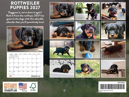 Rottweiler Puppy Calendar 2027 Monthly Wall Calender 12 Month