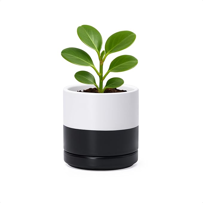 D'vine Dev 3.5 Inch Ceramic Planter Pot with Drainage Hole and Saucer, Indoor Cylinder Round Planter Pot, Layered Monochrome Black & White, 94-O-A-L