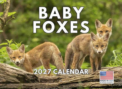 Baby Fox Calendar 2027 Monthly Wall Calender 12 Month
