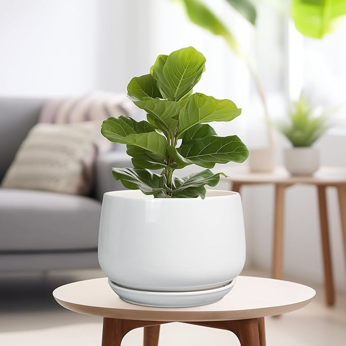 G EPGardening Ceramic Planter 9 Inch - Plant Pots with Drainage and Ceramic Saucer, Flower Pots for Indoor Plants, Modern Outdoor Planter, Living Room Decor, Gifts for Plant Lovers, White