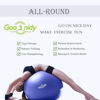 Soft Exercise ball, Anti-Burst Yoga Ball Chair Supports 2200lbs, Workout Equipment w/ Pump for Women Pregnancy, Medicine, Birthing, Physical Therapy, Stability, Excersing, Birth, Swiss, Fitness, Gym