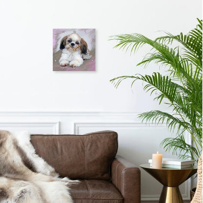 3drose Shih Tzu Puppy Wall Clock, 10 by 10-Inch