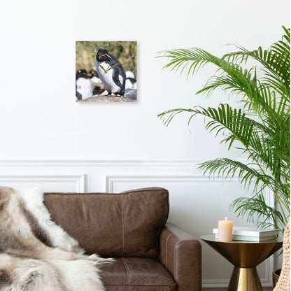 3dRose Wall Clock Silent - 10 inch - Rockhopper Penguin, Falkland Islands - Animals