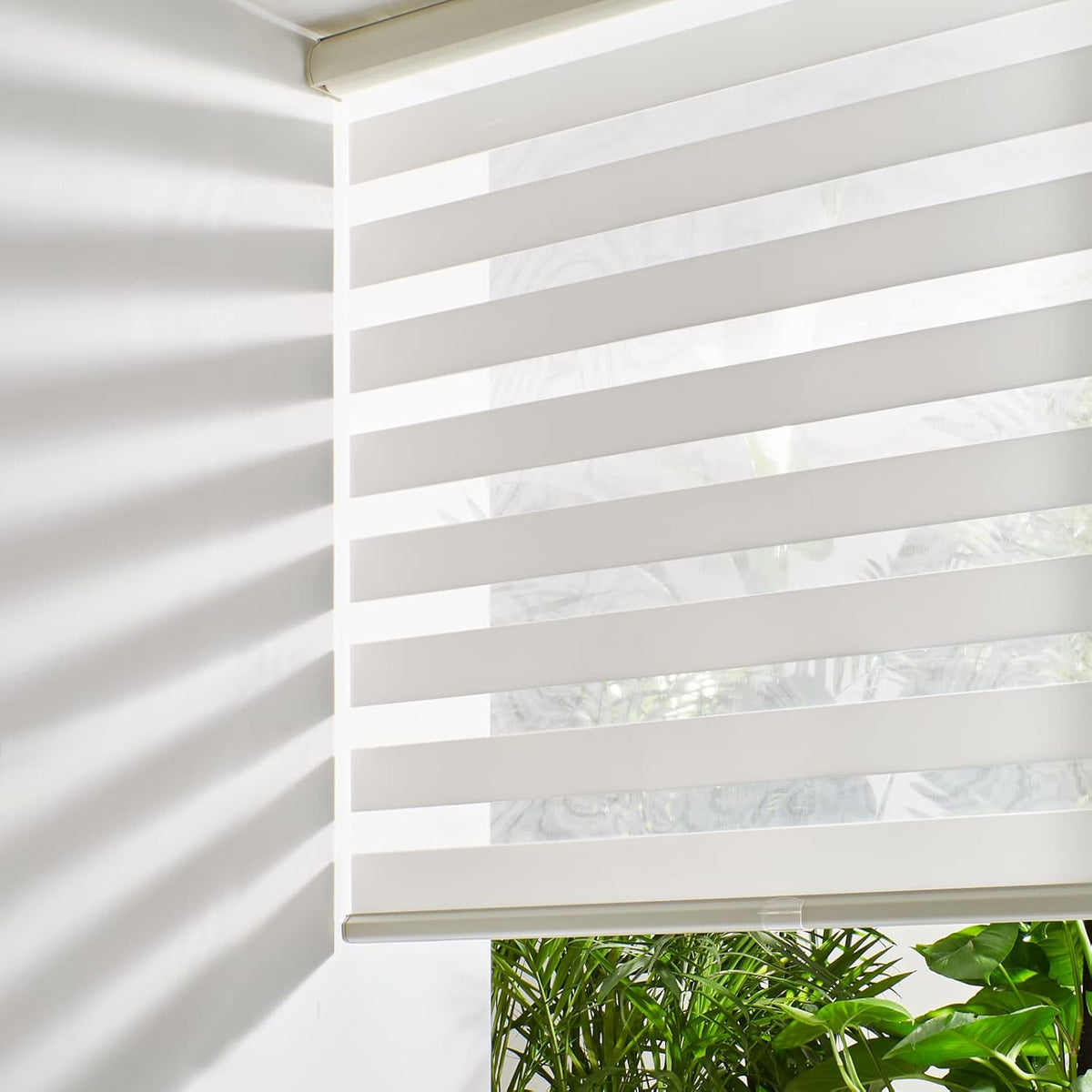 Persilux Cordless Zebra Blinds for Windows Free-Stop Roller Windows Shades (34" W X 72" H, Cream) Dual Layer Light Control for Day and Night, Light Filtering Sheer Shades for Home, Easy to Install