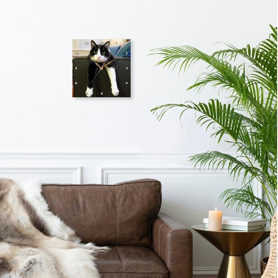 3dRose LLC Wall Clock Silent - 10 inch - Black and White Cat with Nothing to Do - Animals