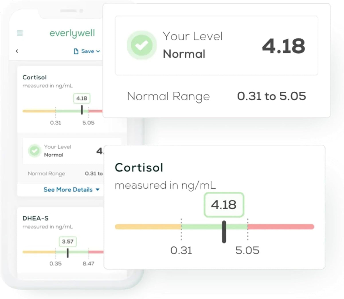 Everlywell Men's Health Test - at-Home Collection Kit - Discreet, Accurate Results from a CLIA-Certified Lab Within Days - Ages 18+