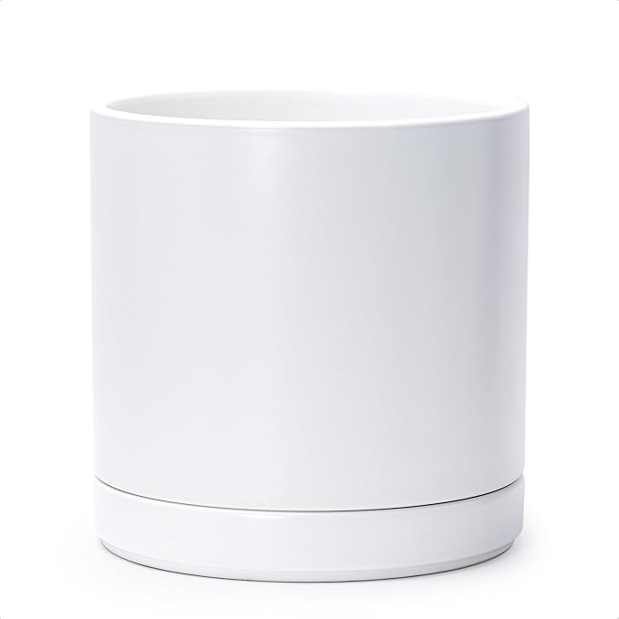 D'vine Dev 10 Inch Ceramic Planter Pot with Drainage Hole and Saucer, Indoor Cylinder Round Planter Pot, White, 94-O-E-1