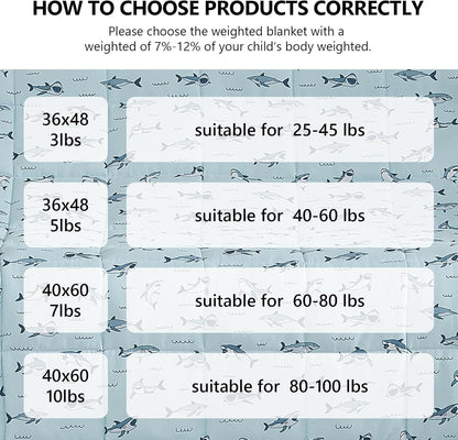 L'AGRATY Weighted Blanket - 40"x60" 7lbs Cooling Breathable Microfiber Material with Glass Beads Small Blanket for All-Season Summer Fall Winter Soft Thick