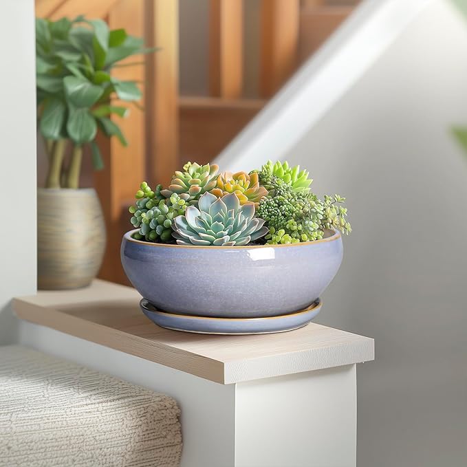 SQOWL Succulent Planters - 8 Inch Ceramic Bonsai Pots with Drainage Hole and Plant Saucer, Shallow Round Planter for Indoor Plants Flower, Bowl Planter Outdoor, Office Decor, House Warming Gift, Blue