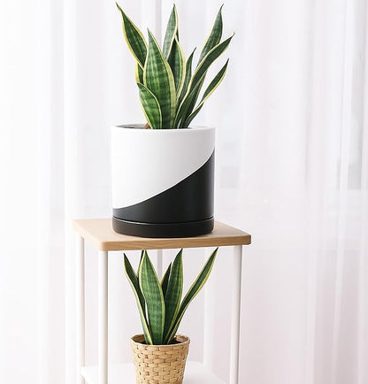D'vine Dev 8.2 Inch Ceramic Planter Pot with Drainage Hole and Saucer, Indoor Cylinder Round Planter Pot, Oblique Monochrome Black and White, 94-O-D-K
