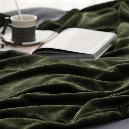 Bedsure Fleece Blanket Twin Size Olive Green - 300GSM Lightweight Plush Fuzzy Cozy Soft Warm Blanket for Bed, Sofa, Couch, Travel, Camping, 60x80 inches