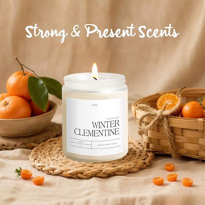 Winter Clementine Scented Candles for Home, 9oz Natural Soy Wax Aromatherapy Organic Citrus Candle for Stress Relief, Long Burning & Lasting Jar Candle Gifts for Christmas, Winter, Holiday