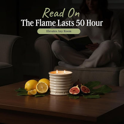 Scented Luxury Citronella Candles outdoor, Mosquito Bug Repellent | Handmade Ceramic Jars, Soy Wax | Cloudy Pillow - Fig Leaf & Lemon, Large Natural Candle | Non Toxic, 2 Wicks, Reusable Big Beige Jar