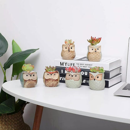 T4U 2.5 Inch Owl Ceramic Succulent Planter Pots with Drainage Hole Set of 6, Mini Cute Flower Pots Tiny Plant Holder Container Best for Home Office Garden Decoration Owl Gift Ideas