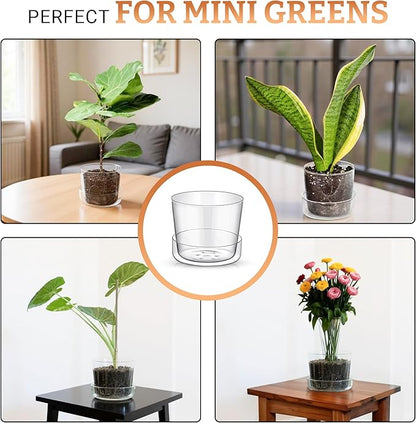Sheer Glass Pot Planter with Drainage Holes & Tray - Decorative & Modern for All House Plants (6 Inches)