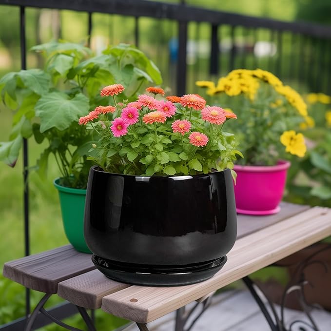 G EPGardening Ceramic Plant Pots - 9 Inch Round Planter, Ceramic Pots for Plants with Drainage and Tray, Flower Indoor Outdoor Planter, Modern Desk Decor, Plant Lover Gifts, Black
