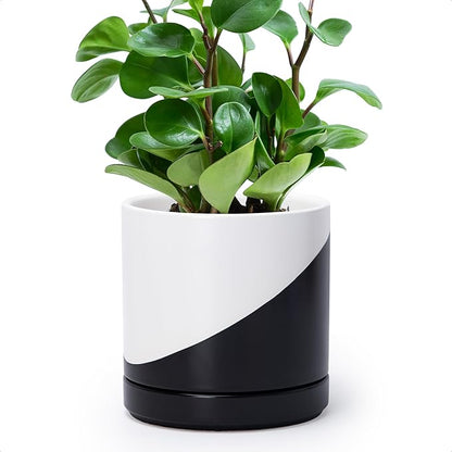 D'vine Dev 6.5 Inch Ceramic Planter Pot with Drainage Hole and Saucer, Indoor Cylinder Round Planter Pot, Oblique Monochrome Black and White, 94-O-C-K
